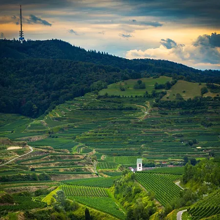 Casa Kaiserstuhl Spaetburgunder Lägenhet *